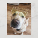 Search for labs postcards Dog