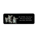 Search for kittens return address labels Feline