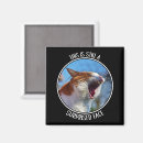 Search for face meme magnets Animal