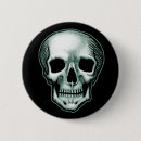 Search for human head badges Anatomy