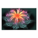 Search for wide posters Computer