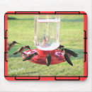Search for lawn mouse mats Yard