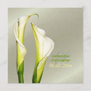 Search for lillies wedding invitations Calla