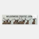 Search for elk bumper stickers Wapiti