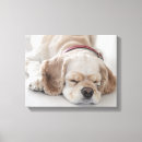 Search for cocker spaniel dog canvas prints Animal