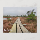 Search for moors postcards Souvenir