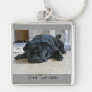 Search for black pugs key rings Cute