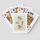 Search for plating playing cards 19th