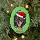Search for wiener dog christmas tree decorations Dachsund