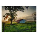 Search for shed posters Colours