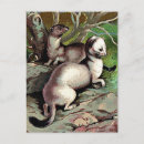 Search for weasels postcards Ermine