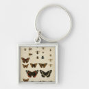 Search for caterpillar key rings Butterflies