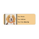 Search for beagle puppy return address labels Dog