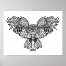 Search for doodle owl posters Mandala