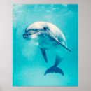 Search for bottlenose dolphin posters Cute