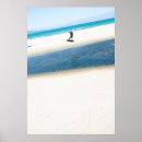 Search for kitesurf posters Surfing