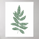 Search for fern leaves posters Minimalist