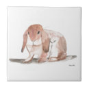 Search for watercolour painting tiles Wildlife