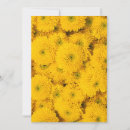 Search for asters invitations Garden