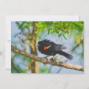Search for blackbird cards Yellow