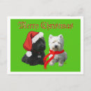 Search for scotty dog westie cards Dogs