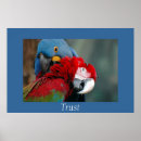 Search for trust posters Faith
