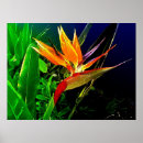 Search for mixed media posters Floral