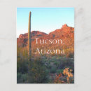 Search for tucson postcards Cactus