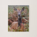 Search for talking puzzles Nature