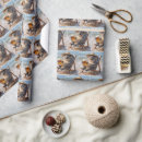 Search for koala bear wrapping paper Wildlife