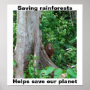 Search for save the rainforest posters Nature