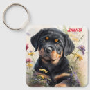 Search for rottweiler accessories Animal