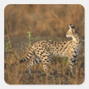 Search for wildlife reserve stickers Africa