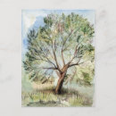 Search for watercolor drawing postcards Nature