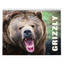 Search for grizzly bear calendars Nature