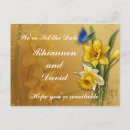 Search for date yellow postcards Daffodil