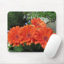 Search for orange gerbera electronics Nature