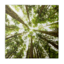 Search for lush tiles Nature