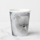 Search for angry cat Humour