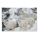 Search for sheep pillowcases Animals