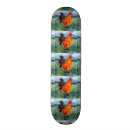 Search for rooster skateboards Chickens