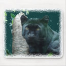 Search for black panthers electronics Feline