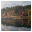 Search for evergreen tiles Clouds