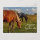 Search for ponies postcards Horse