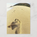Search for echinoderms postcards Beach