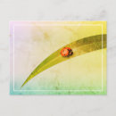 Search for leaf insect postcards Beetle