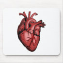 Search for anatomical electronics Nurse