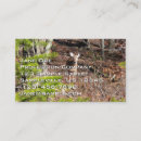 Search for deer photography Landscape