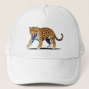 Search for jaguar hats Illustration