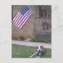 Search for pit postcards Bull